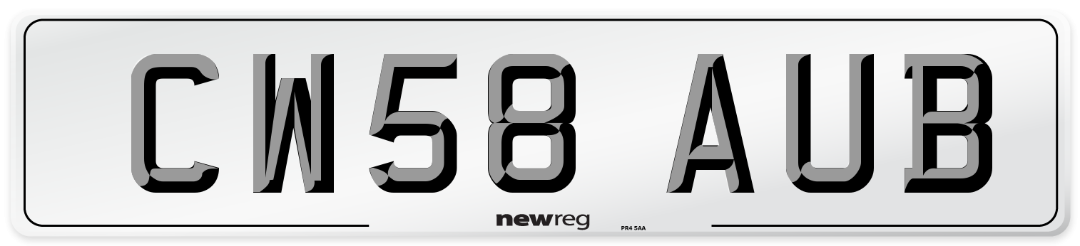 CW58 AUB Number Plate from New Reg